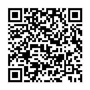 否则哪怕是天尊大修士也不可能像她这样轻松写意二维码生成