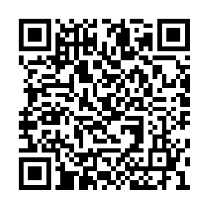 否则哪怕是拥有不朽强者也会被这火焰生生炼化二维码生成