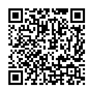 否则哪里会有我和我姐这两个美貌可爱的女儿啊二维码生成