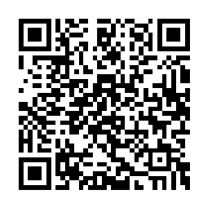 否则大小姐要真的出了什么事――公子怪罪下来二维码生成