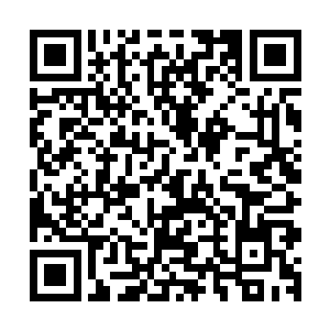 否则天位强者对于非天位强者而言就是永远都不可能战胜的神二维码生成