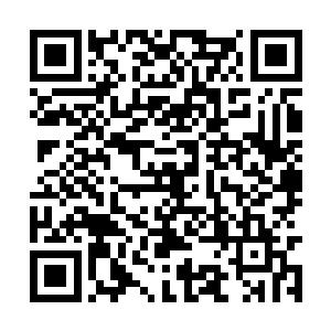 否则太古黑龙依扎卡也不会被他虐的乖乖为他效命二维码生成