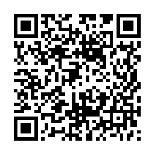 否则她也不会被谢尔盖的部门选中送到德国去留学二维码生成