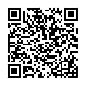否则她怎么可能在这么短的时间里修成瞬间封印之术呢二维码生成