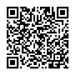 否则她早就会发现许晴的异常……许晴不仅不会疼不会流血二维码生成