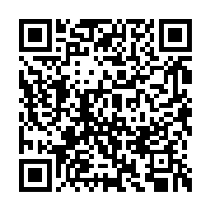 否则季玉生不会在二婚时去总结他的第一次婚姻二维码生成