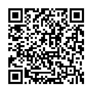 否则它就真的要被夏天硬生生的将鲜血给吸光了二维码生成