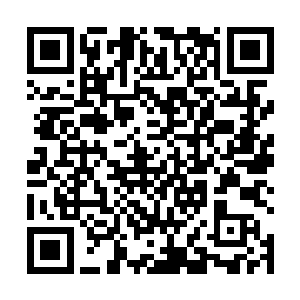 否则就只能眼睁睁看着万年壬水精母落入那仇锋手中了二维码生成