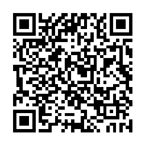 否则就算是击败对方也只能落下一个以强欺弱的名头二维码生成