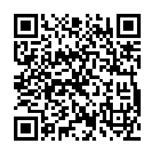 否则就那只有仙王后期修士的许紫烟一定会死在了里面二维码生成