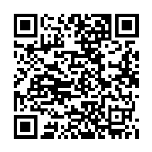 否则当初也不会在楚城和生存游戏中脱颖而出了二维码生成