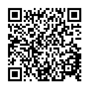 否则徐凤年估计篓筐里就是六七把刀柄镶嵌珠玉的北凉刀了二维码生成