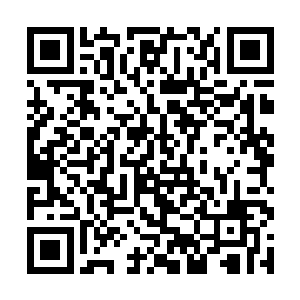 否则恐怕在右手边的五百人全部注射死亡也不会宣布二维码生成