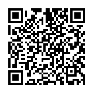 否则我们这些仙兽王都可能会遇到很大的危险和麻烦二维码生成