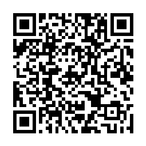 否则整个行动会毫无疑问地在开始前就注定要失败二维码生成