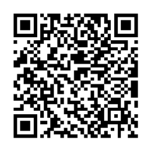 否则方才在他被赤螭精血控制的时候圆胖估计早就没命了二维码生成