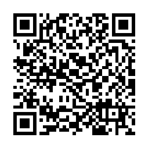 否则普通的微光物品他基本看一眼直接丢虚空海螺里二维码生成