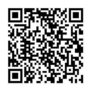 否则柏培拉城里是不会有人跳出来反抗骷髅帮统治的二维码生成