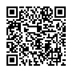 否则梅迪尔丽根本来不及阻止这些妖神执行者冲破第一道防线二维码生成