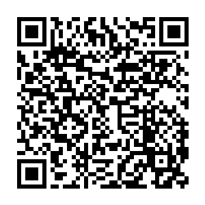 否则此刻韩风修为能够进展到四重天后期乃至巅峰都是老天眷顾了二维码生成