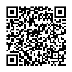 否则河滩城里也不会有这么多双刀假面的传言了二维码生成