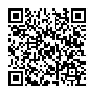 否则现在面前站着一个与自己面貌有些相似的怪物二维码生成