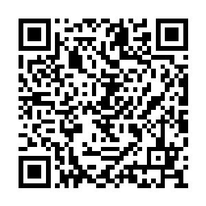 否则的话一般人根本就无法支撑法相天地的消耗二维码生成