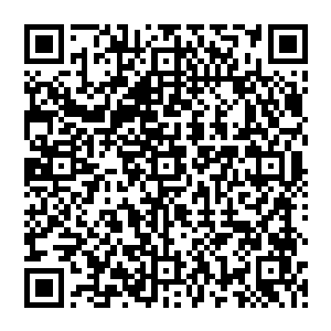 否则的话为什么林欣悦一个人在学校的时候他不动手反而选择在林欣悦身边有保镖时在机场动手二维码生成