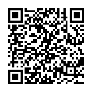 否则的话凭借杨戬当初连筑基都不到的实力想要使用二维码生成