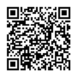 否则的话刚才的一道攻击直接就能够取下蓝绍军的头颅二维码生成