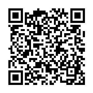 否则的话唐天绝对无法在捱打训练中支撑那么久的时间二维码生成