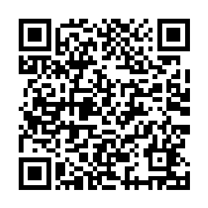 否则的话如何能够在百蛮山这么复杂的地方打下一片天地二维码生成