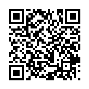 否则的话没有人能够奈何得了锦鲤一族二维码生成