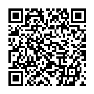 否则肯定会被那些隐藏在人群中的大能玩家觉察出端倪的二维码生成