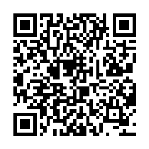 否则自己就算恢复全盛时期也休想在他面前掀起波澜二维码生成