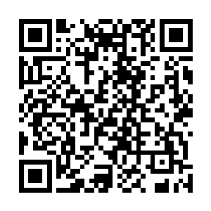 否则苏家三姐妹不会说西大帝这种手握一国大权的统治者二维码生成
