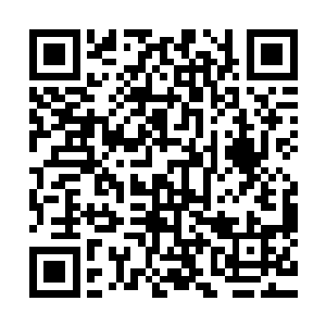 否则若是这石匣真的只要直接吸取鲜血就能提取出蓝晶石的话二维码生成