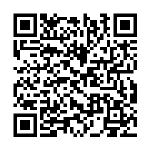 否则这般威名赫赫的凶兽又怎会有如此不济的表现二维码生成