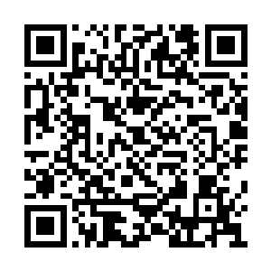 否则那些普通的人类也不可能在这里长期生存了二维码生成