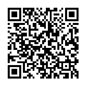 否则陛下手上既然有如此快速增长修为的功法为何不自己修炼二维码生成