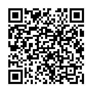 吧台的服务员应该都换成了负责保护她安全的安全人员二维码生成