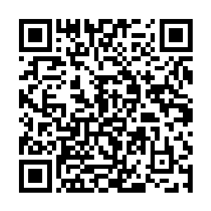 吩咐那些被活捉的探子带着受伤的这个去豆沙关投宿二维码生成