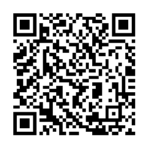 含泪带恨的眼仍旧是倔强的瞪着对面那张熟悉的脸二维码生成