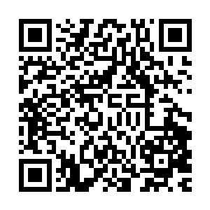 含着金钥匙出生的夏仲回却少了他父亲身上所有的坚毅和大无畏二维码生成