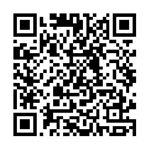 含翠轩上房门口的回廊上站满了满脸惶恐的丫鬟婆子二维码生成