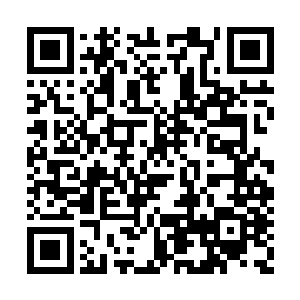 听下面的人说杨公子这一次来是为了小女的病情二维码生成