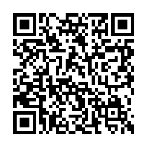 听不到歌声的徐凤年发现小姑娘已经沉沉睡去了二维码生成