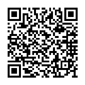 听不懂高深话的四小孩坚决的认为使臣是在辩解二维码生成