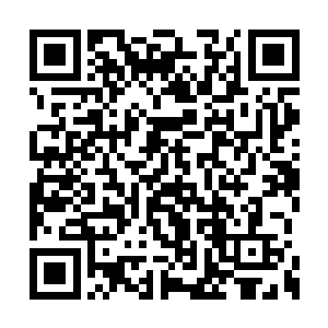 听两个小家伙一半骄傲一半炫耀地诉说着他们的二维码生成