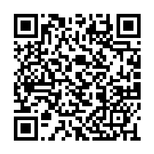 听了紫明月的安慰小雪才将心中的恐惧压了下去二维码生成